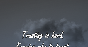 Trust, Quote, relation, confidence, social, life