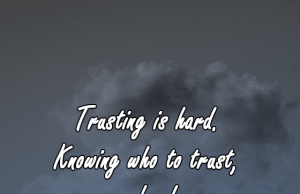 Trust, Quote, relation, confidence, social, life