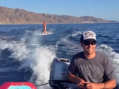 waterskiing, wakeboarding, water surfing, sport, healthy, benefit, dolphin, sea, boat, unbelievable,