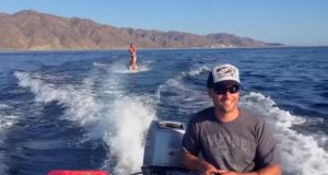 waterskiing, wakeboarding, water surfing, sport, healthy, benefit, dolphin, sea, boat, unbelievable,