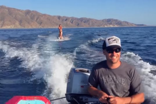 waterskiing, wakeboarding, water surfing, sport, healthy, benefit, dolphin, sea, boat, unbelievable,