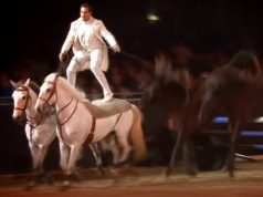 Spectacular, Horses, Show, Talent, Behind Scene, Amazing,