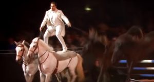 Spectacular, Horses, Show, Talent, Behind Scene, Amazing,