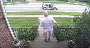 Surprise, Rob, Stole, Box, Thief, Bait,