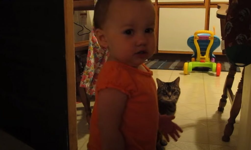 Cat, Daughter, Baby, Adorable, Morning, Hilarious,