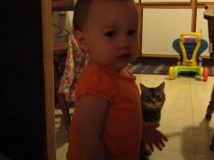 Cat, Daughter, Baby, Adorable, Morning, Hilarious,
