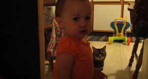 Cat, Daughter, Baby, Adorable, Morning, Hilarious,