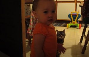 Cat, Daughter, Baby, Adorable, Morning, Hilarious,