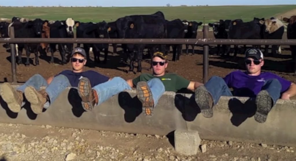 Farm, Song, Funny, Brothers, America, Music,
