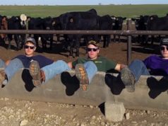 Farm, Song, Funny, Brothers, America, Music,