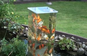 Fish, Tank, Pond, Decor, Backyard, Genius,