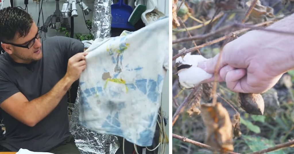 easy T-shirt projects, T-shirt projects step by step, how to start a textile project from the beginning, ideas for projects with small budgets, creative way to make a t-shirt, how to make a textile project using your own cotton farm