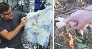 easy T-shirt projects, T-shirt projects step by step, how to start a textile project from the beginning, ideas for projects with small budgets, creative way to make a t-shirt, how to make a textile project using your own cotton farm