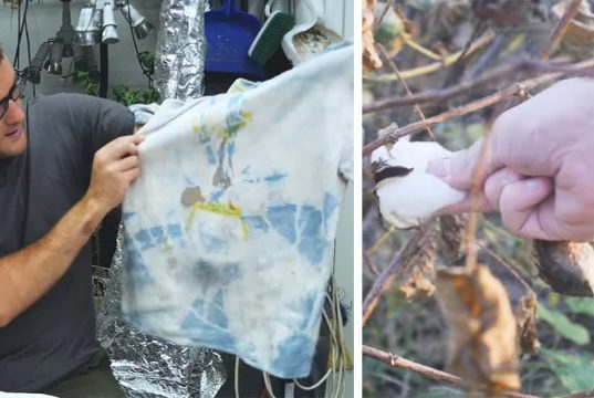 easy T-shirt projects, T-shirt projects step by step, how to start a textile project from the beginning, ideas for projects with small budgets, creative way to make a t-shirt, how to make a textile project using your own cotton farm