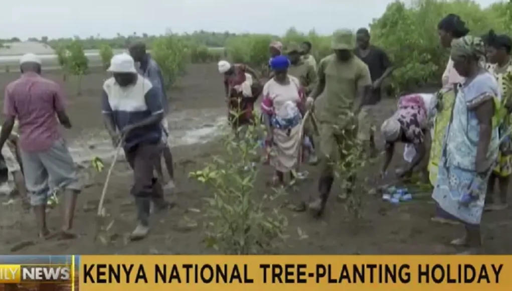 Tree planting, Environmental conservation, Sustainability, Kenya, National Tree Planting Holiday, Climate change, Biodiversity, Air quality, Community engagement, Greener future