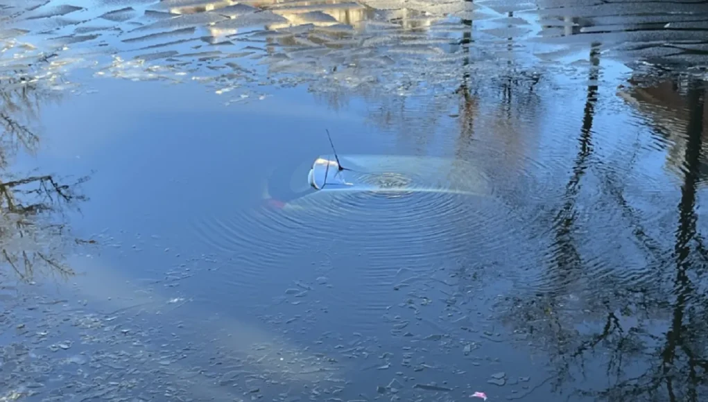 Delft, heroic rescue, icy canal, community spirit, collective courage, student hero, communal strength, Delft history, student life.