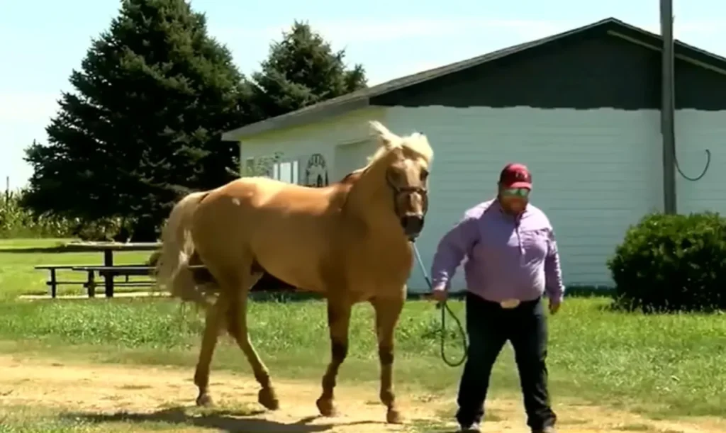 Nebraska hero, saved baby on horseback, roping contestant hero, Heroes Game story, Merrick County Fair rescue, heroic actions, baby saved in hot car