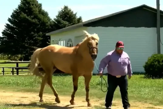 Nebraska hero, saved baby on horseback, roping contestant hero, Heroes Game story, Merrick County Fair rescue, heroic actions, baby saved in hot car