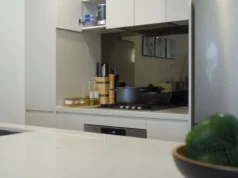 kitchen, organization, storage, DIY, pantry, fridge, cooking, spices, utensils, layout