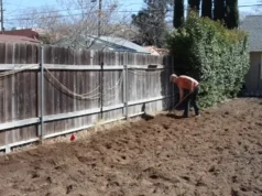 gardening, how to garden, starting a garden, vegetable garden, garden tips, garden planning, soil amendment, composting, seed starting, garden harvest