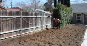 gardening, how to garden, starting a garden, vegetable garden, garden tips, garden planning, soil amendment, composting, seed starting, garden harvest