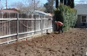 gardening, how to garden, starting a garden, vegetable garden, garden tips, garden planning, soil amendment, composting, seed starting, garden harvest