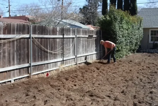gardening, how to garden, starting a garden, vegetable garden, garden tips, garden planning, soil amendment, composting, seed starting, garden harvest