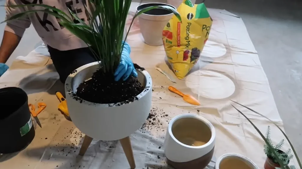 backyard ideas, outdoor decor, patio design, garden hacks, planters, furniture, DIY, home improvement, outdoor living, plants