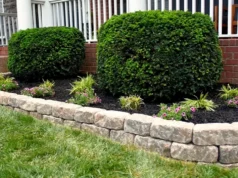 DIY, backyard ideas, outdoor decor, budget-friendly, planters, lighting, garden, thrift store finds, repurposing, upcycling