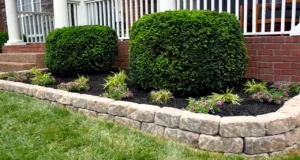 DIY, backyard ideas, outdoor decor, budget-friendly, planters, lighting, garden, thrift store finds, repurposing, upcycling