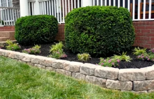 DIY, backyard ideas, outdoor decor, budget-friendly, planters, lighting, garden, thrift store finds, repurposing, upcycling