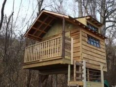 treehouse, DIY, building, plans, cedar, siding, outdoor, construction, woodworking, backyard