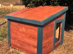 dog house, DIY, plans, modern, build, outdoor, pet, tutorial, woodworking, ramp