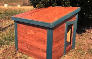 dog house, DIY, plans, modern, build, outdoor, pet, tutorial, woodworking, ramp