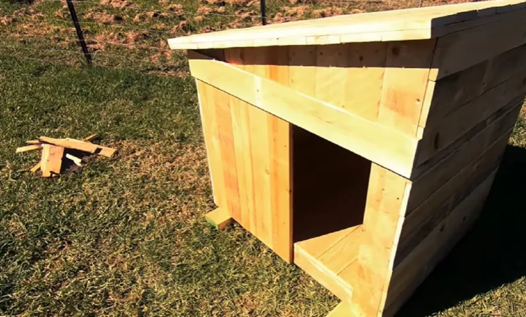 dog house, DIY, plans, modern, build, outdoor, pet, tutorial, woodworking, ramp