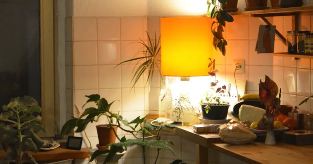 kitchen lighting, ambient lighting, task lighting, decorative lighting, LED lights, kitchen design, lighting ideas, home improvement, interior design, dimmable lights