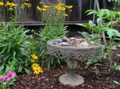 garden hacks, DIY gardening, composting, watering, seed storage, pest control, seedlings, cold frame, kitchen scraps, plant growth