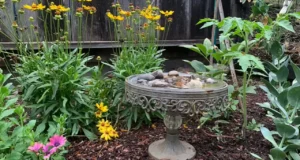 garden hacks, DIY gardening, composting, watering, seed storage, pest control, seedlings, cold frame, kitchen scraps, plant growth