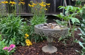 garden hacks, DIY gardening, composting, watering, seed storage, pest control, seedlings, cold frame, kitchen scraps, plant growth
