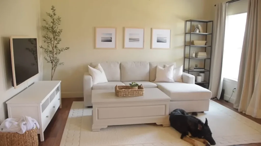 DIY makeover, living room, budget decor, home improvement, interior design, room makeover, affordable design, home goods, decor ideas, painting tips

