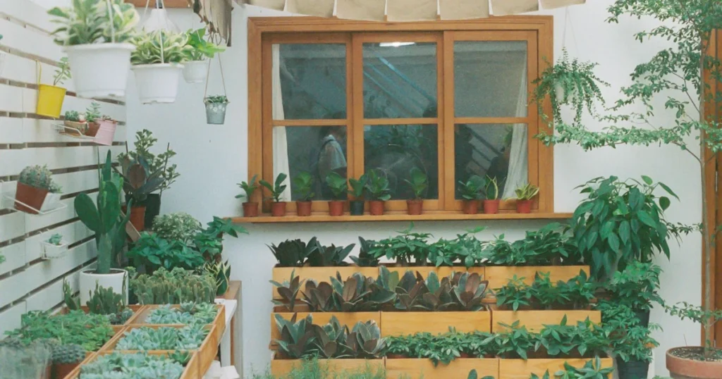 indoor gardening, herb garden, growing herbs, basil, cilantro, rosemary, thyme, chives, oregano, dill