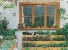 indoor gardening, herb garden, growing herbs, basil, cilantro, rosemary, thyme, chives, oregano, dill