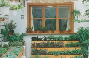 indoor gardening, herb garden, growing herbs, basil, cilantro, rosemary, thyme, chives, oregano, dill