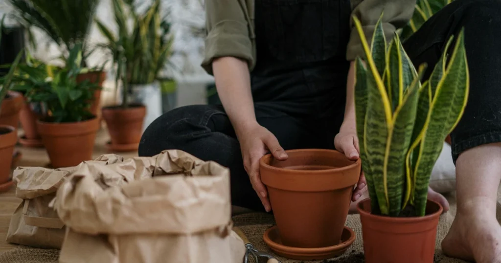 indoor gardening, herb garden, growing herbs, basil, cilantro, rosemary, thyme, chives, oregano, dill