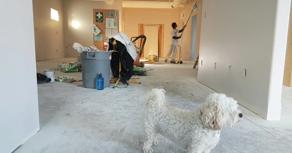 DIY painting, home improvement, painting tips, wall painting, pro painter, home renovation, paint techniques, painting guide, room makeover, interior design

