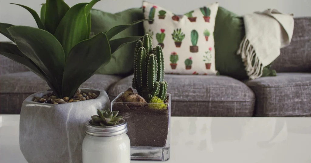 DIY home decor, budget projects, home improvement, interior design, painting, lighting, plants, refinishing, accent walls, furniture
