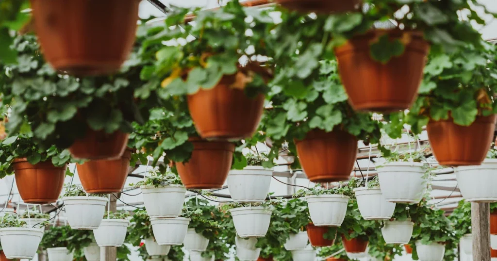 DIY garden hack, small space gardening, balcony garden ideas, eco-friendly gardening