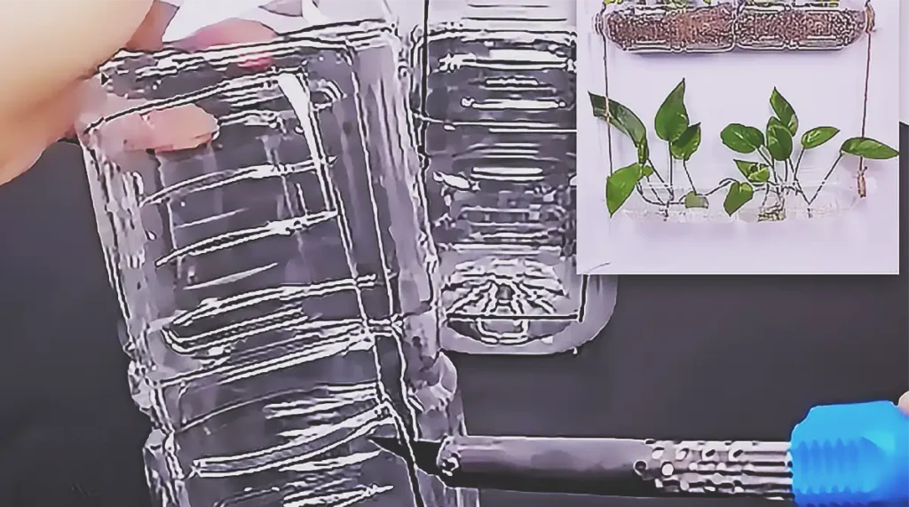 A handmade hanging wall planter made from clear recycled plastic bottles, with succulents planted in the top bottle and green pothos cuttings growing in water in the lower bottle.