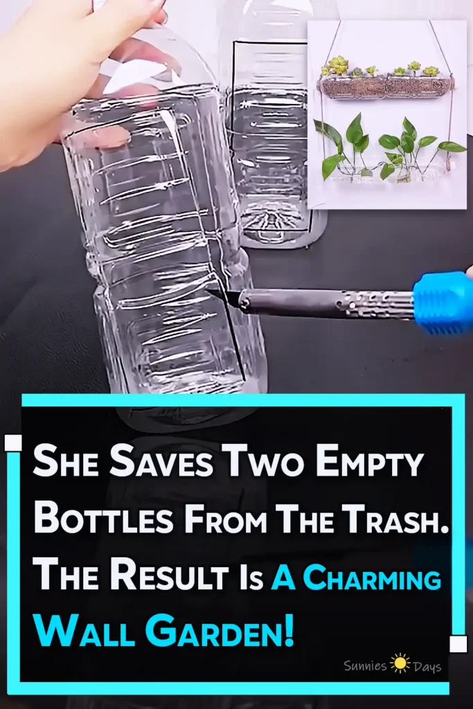A handmade hanging wall planter made from clear recycled plastic bottles, with succulents planted in the top bottle and green pothos cuttings growing in water in the lower bottle.